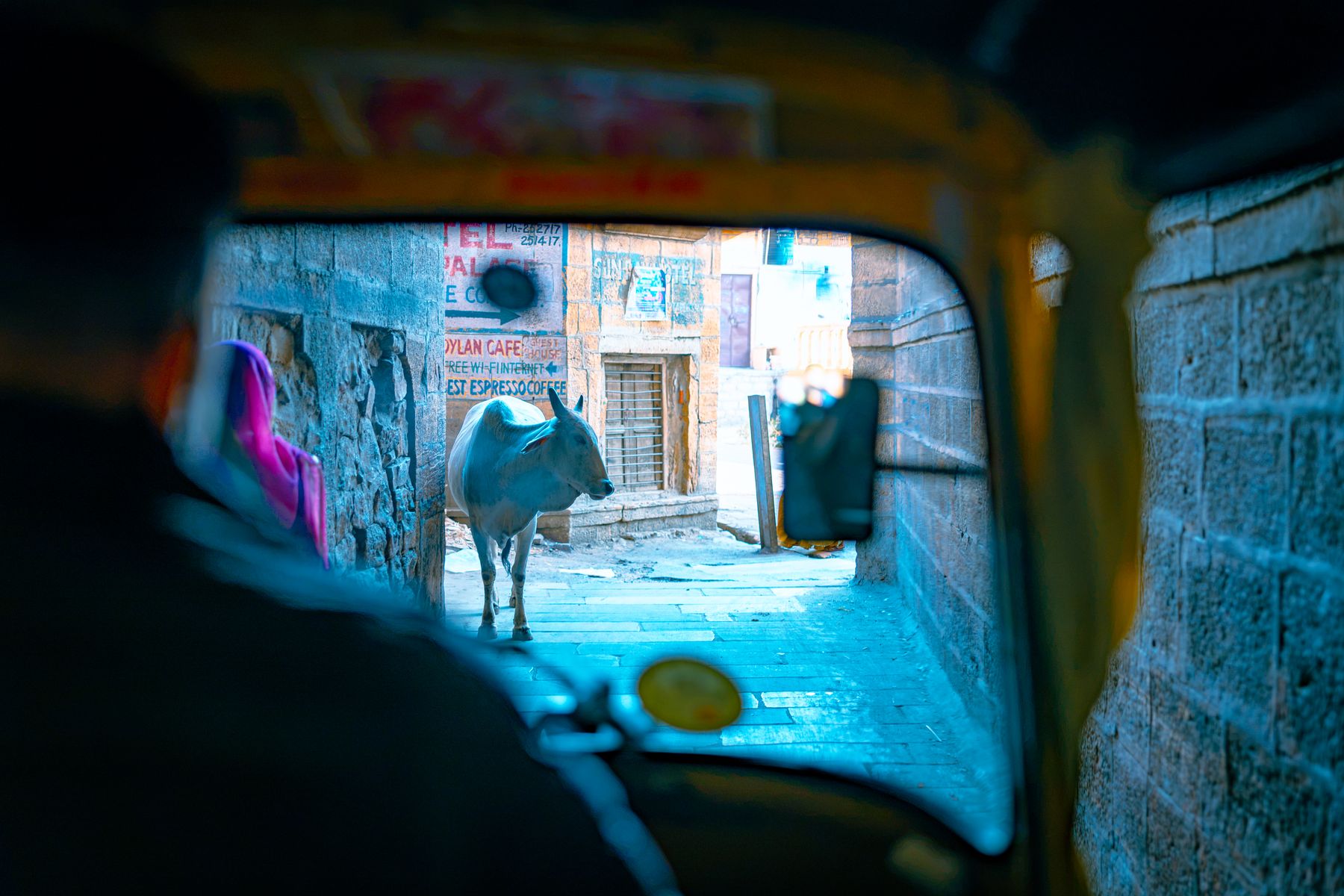 Cow Framed Through Auto-Rickshaw Windshield